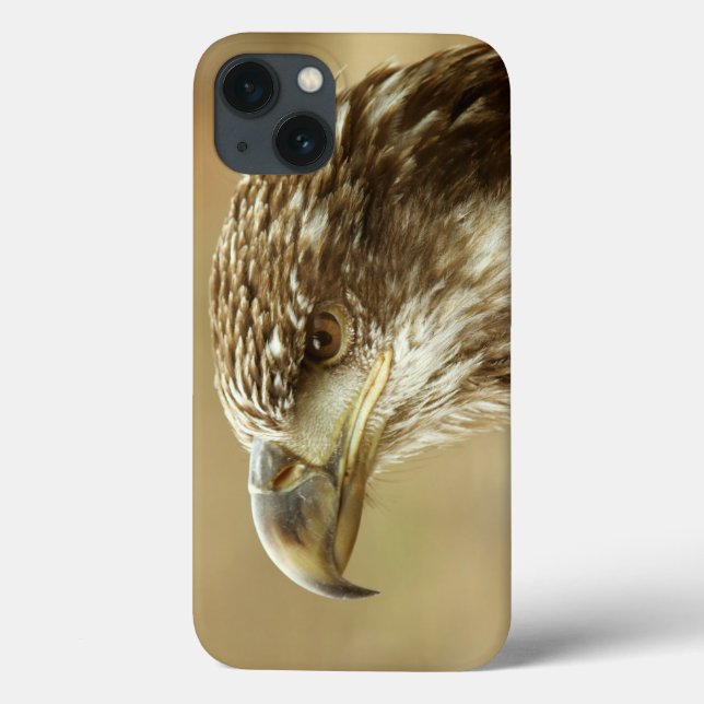 Coques Case-Mate iPhone Aigle à tête blanche immature (Verso)