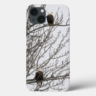 Etui iPhone 13 Aigle double
