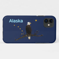 Aigle Et Drapeau De L'Alaska