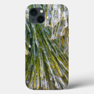 Coques Pour iPhone Aiguilles de pin recouvert de glace Botanique hive