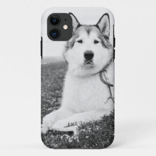 Case-Mate iPhone Case alaskan-malamute bw.png