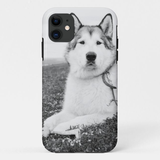 Coques Case-Mate iPhone alaskan-malamute bw.png (Dos)