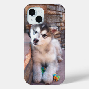 Coque Pour iPhone 15 Alaskan Malamute Puppy Head Tilt Photographie