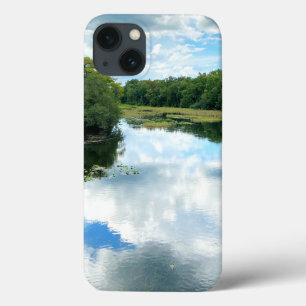 Alexander Spring Creek coques iphone