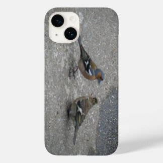 Coques Pour iPhone Alimenter Chaffinch