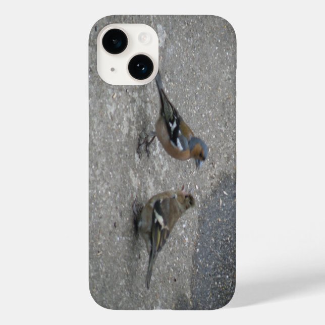 Coques Case-Mate iPhone Alimenter Chaffinch (Verso)