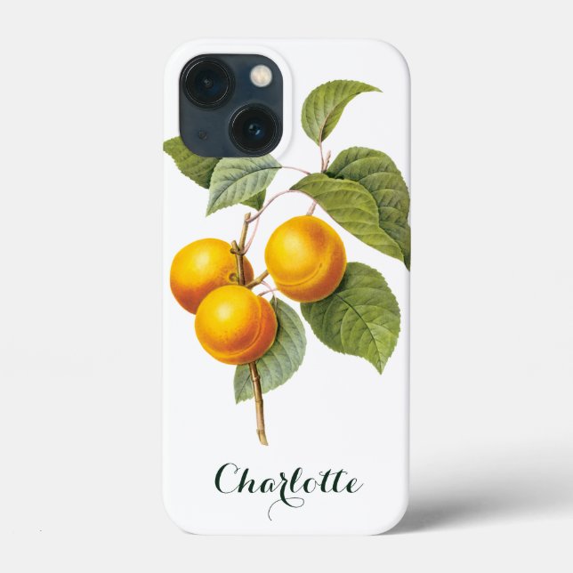 Coques Case-Mate iPhone Aliments anciens Fruit, Abricot Pêche par Redoute (Verso)