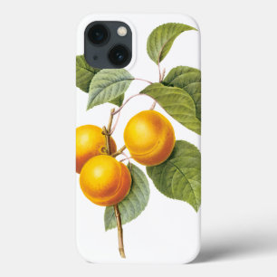 Etui iPhone Case-Mate Aliments anciens Fruits, Abricot Pêche par Redoute