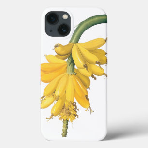 Case-Mate iPhone Case Aliments anciens Fruits, Bananes tropicales par Re