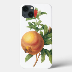Coques Pour iPhone Aliments anciens Fruits, Grenade par Redoute