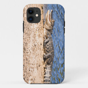 Case-Mate iPhone Case Alligator bébé soleil