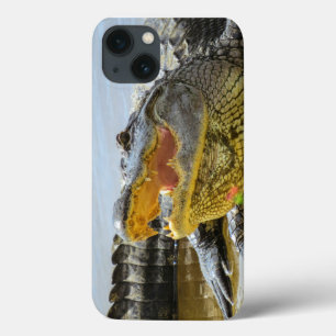 iPhone 13 Case Alligator. Face à face