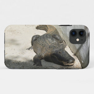 Case-Mate iPhone Case Alligator, Fort Lauderdale, Floride
