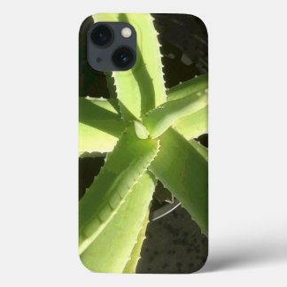 Coques Pour iPhone Aloe Plante