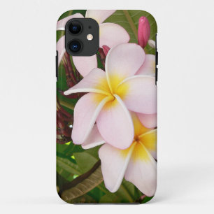 Coques Pour iPhone Aloha le Frangipani hawaïen fleurit des Plumerias