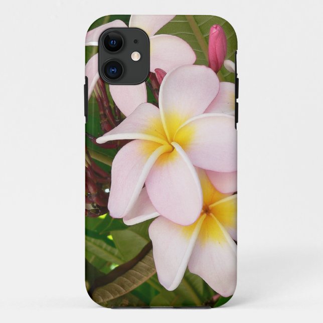 Coques Case-Mate iPhone Aloha le Frangipani hawaïen fleurit des Plumerias (Dos)