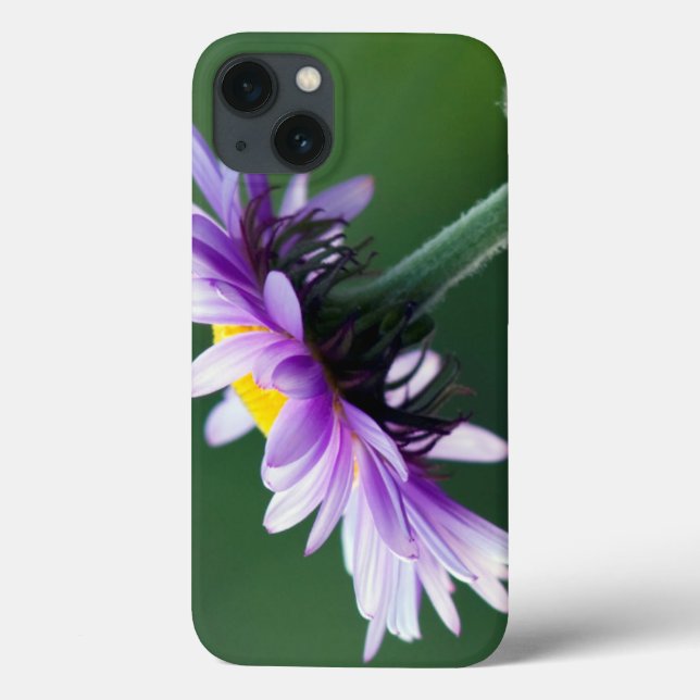Coques Case-Mate iPhone Alpine Daisy (Verso)