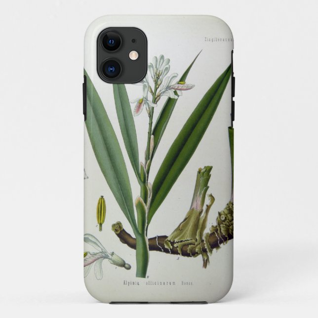 Coques Case-Mate iPhone Alpinia officinarum (Dos)