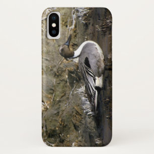 Case-Mate iPhone Case Amants de canard de canard pilet du nord