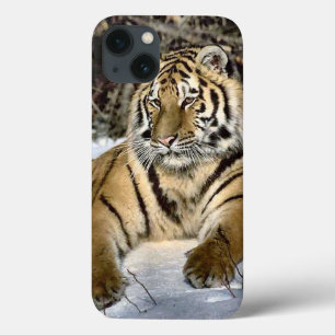 Etui iPhone Case-Mate Amants de tigre