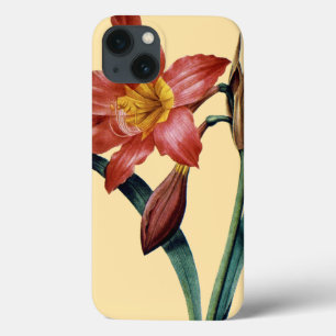 Etui iPhone 13 Amaryllis