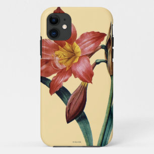 Coque Case-Mate iPhone Amaryllis