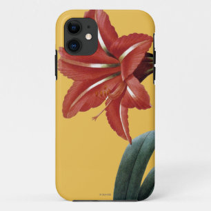 Coque iPhone 11 Amaryllis barrée