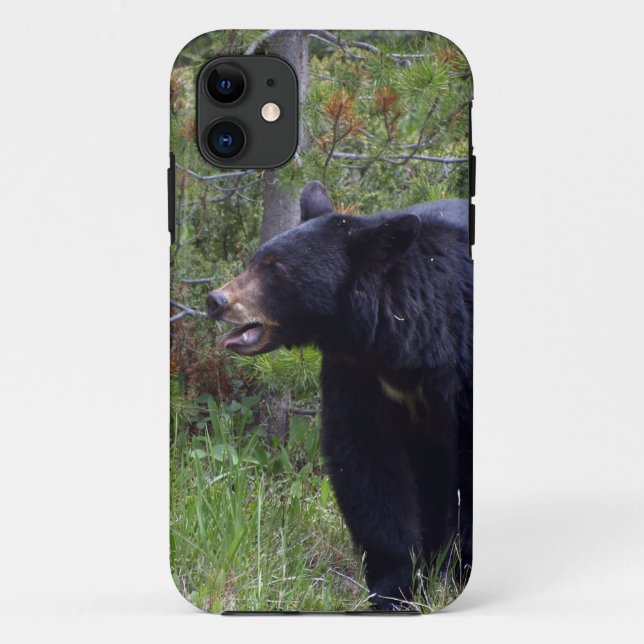 Coques Case-Mate iPhone Amateur d'ours noir sauvage animal sauvage (Dos)