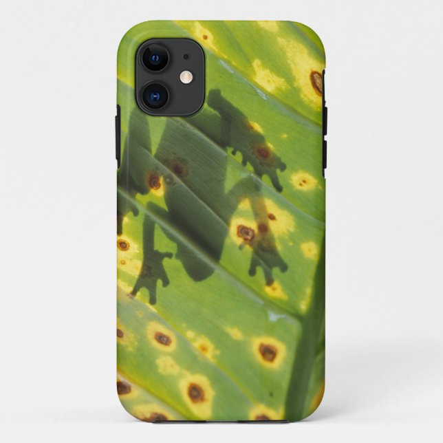 Coques Case-Mate iPhone AMÉRIQUE CENTRALE, Costa Rica, Grenouille en contr (Dos)
