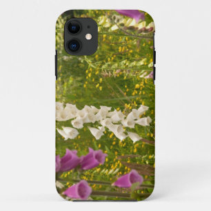 Coque Case-Mate iPhone Amérique du Nord, Canada, Îles de la Reine-Charlot