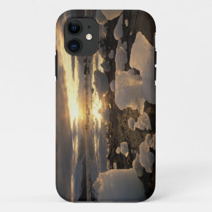 Coque iPhone 11 Amérique du Nord, États-Unis, Alaska, Ice Bay, pay