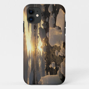 Etui iPhone Case-Mate Amérique du Nord, États-Unis, Alaska, Ice Bay, pay