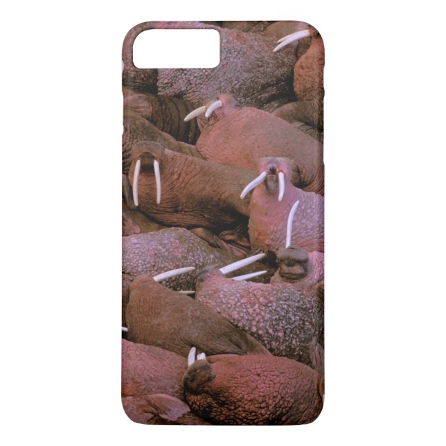 Coques Case-Mate iPhone Amérique du Nord, États-Unis, Alaska, Yukon Delta  (Dos)