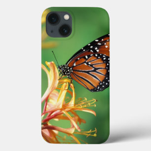 iPhone 13 Case Amérique du Nord, États-Unis, WA, Seattle, Woodlan