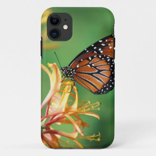 Coque iPhone 11 Amérique du Nord, États-Unis, WA, Seattle, Woodlan