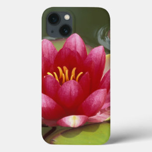 Etui iPhone Case-Mate Amérique du Nord, États-Unis, WA, Seattle, Woodlan
