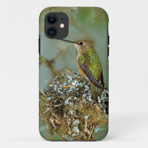 Coque Case-Mate Pour iPhone Amérique du Nord, USA, Alaska. Oiseau roux