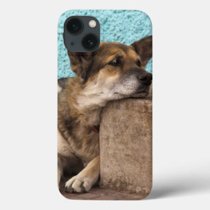 Case-Mate iPhone Case Amérique du Sud, Chili, Valparaiso. allemand