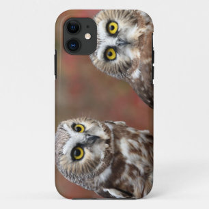 Coque Case-Mate Pour iPhone Amis