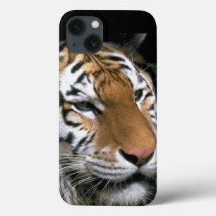 Coques Pour iPhone Amoureux des Tigres
