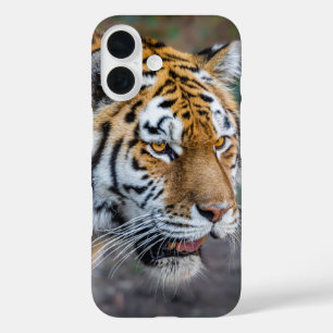 Coque Pour iPhone 16 Amur tiger