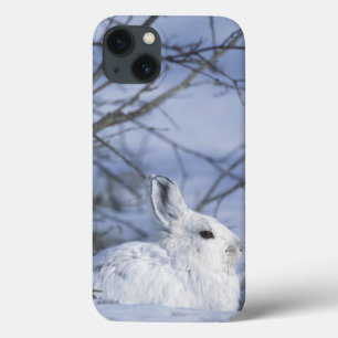 iPhone 13 Case AN, États-Unis, Alaska. Réserve faunique nationale