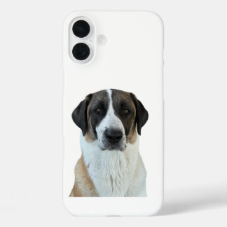 Coque Pour iPhone 16 Plus Anatolian Shepherd iPhone/coque ipad