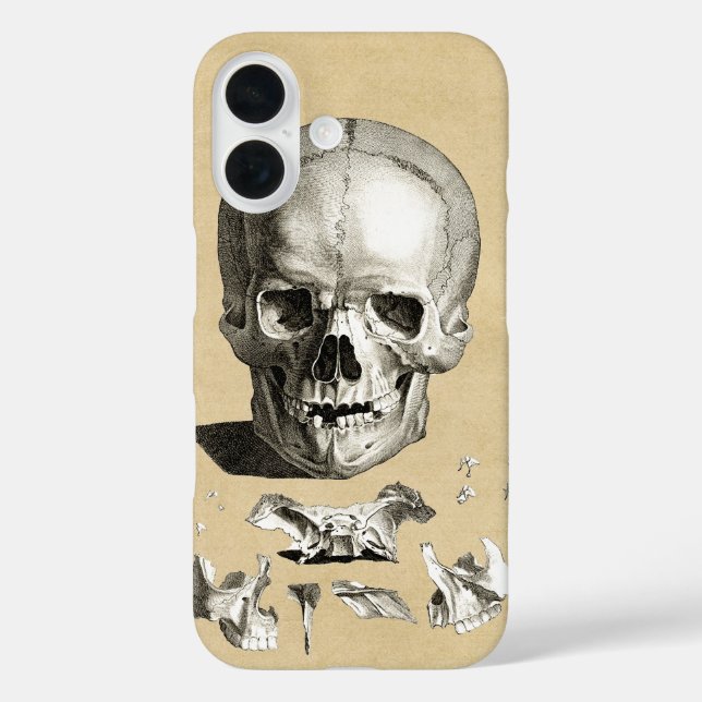 Coques Case-Mate iPhone Anatomie du crâne et des os (Verso)