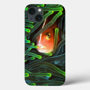 Coque Case-Mate iPhone Anemone Fish Hiding In Anemone, Mozambique