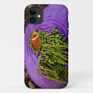 Coque Case-Mate iPhone Anemonefish et grande anémone