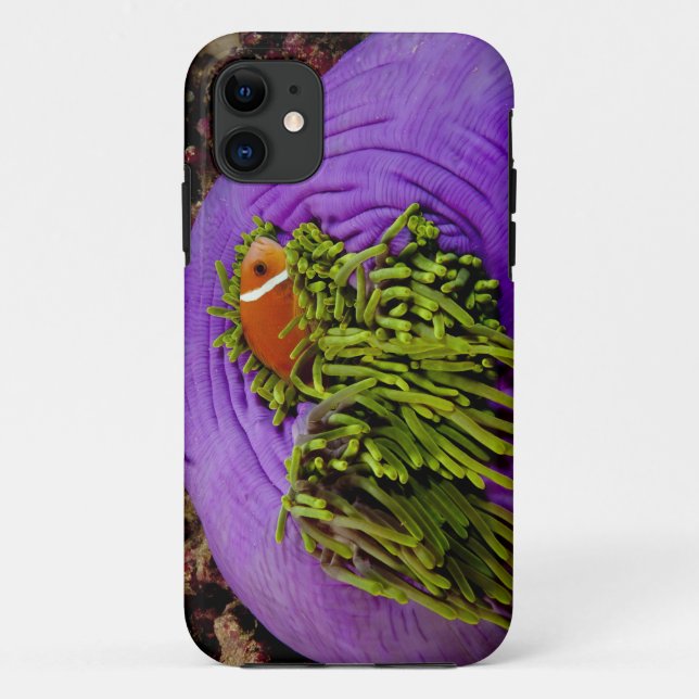 Coques Case-Mate iPhone Anemonefish et grande anémone (Dos)