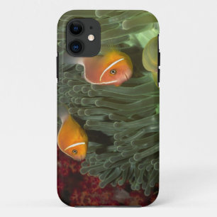Coque Case-Mate Pour iPhone Anemonefish rose dans l'actinie de Magnificant