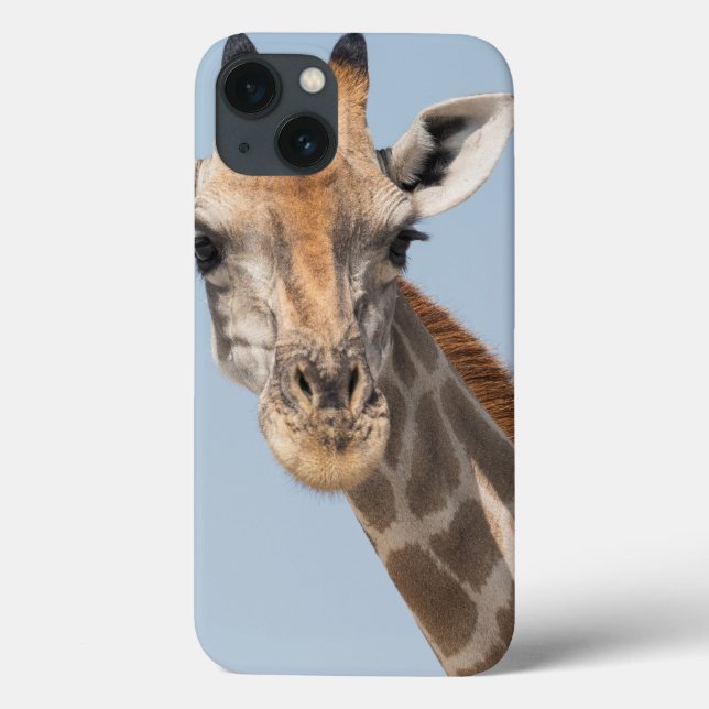 Coques Case-Mate iPhone Angolan Giraffe Portrait (Verso)