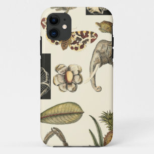Case-Mate iPhone Case Animaux assortis peints sur l'arrière - plan crè